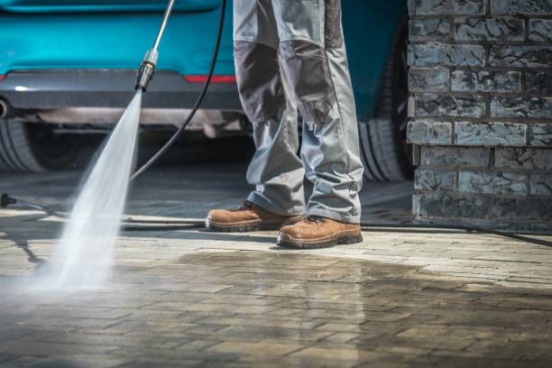Pre-Holiday Cleaning in St Leo, FL