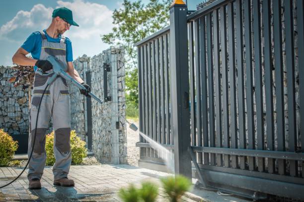 Best Sidewalk and Walkway Cleaning  in St Leo, FL
