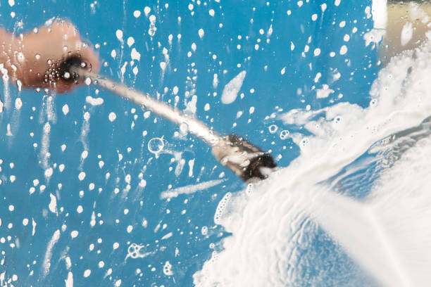 Best Animal Enclosure Cleaning  in St Leo, FL