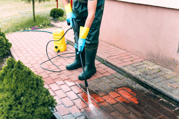 Best Dumpster Area Cleaning  in St Leo, FL