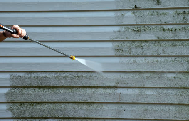 Best Factory Floor Cleaning  in St Leo, FL
